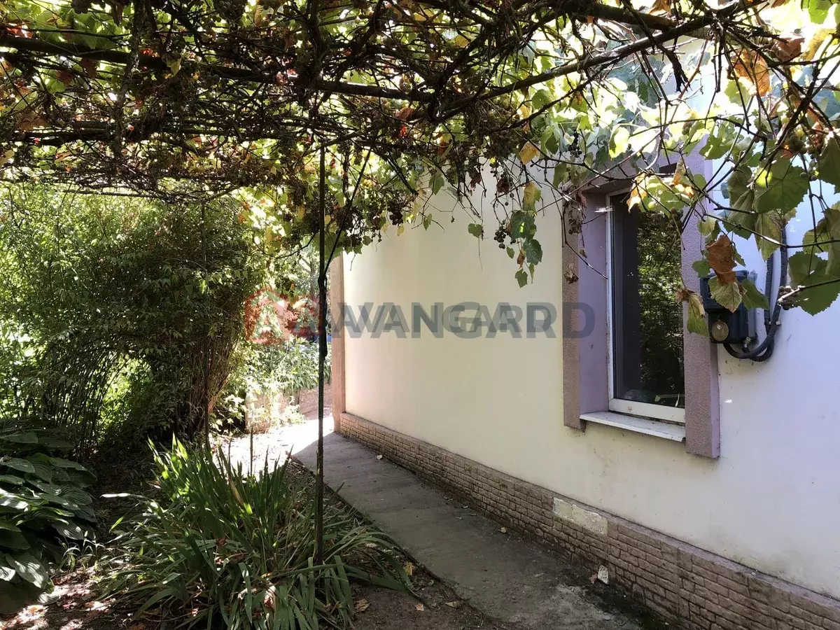 ������� �������, 85 ��.�. ���� 1