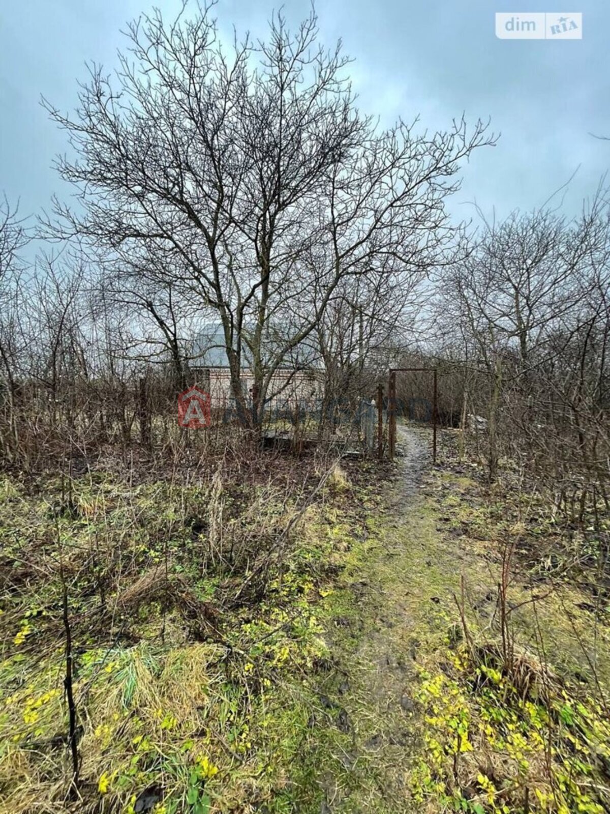 �������, 49 ��.�. ���� 11