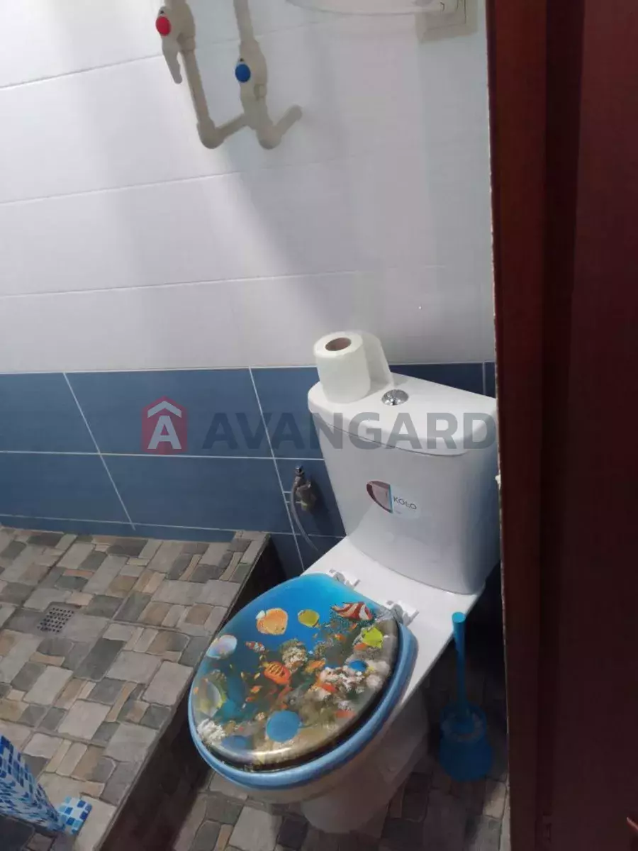 �������, 60 ��.�. ���� 3