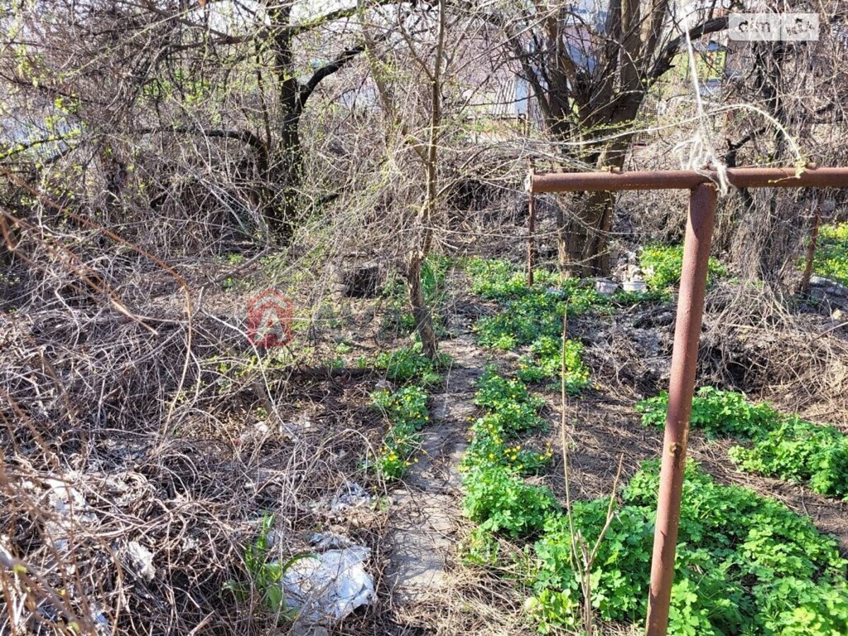 ������� �������, 48 ��.�. ���� 8