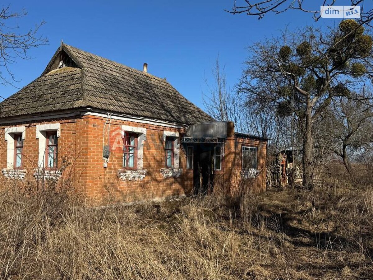 �������, 48 ��.�. ���� 1