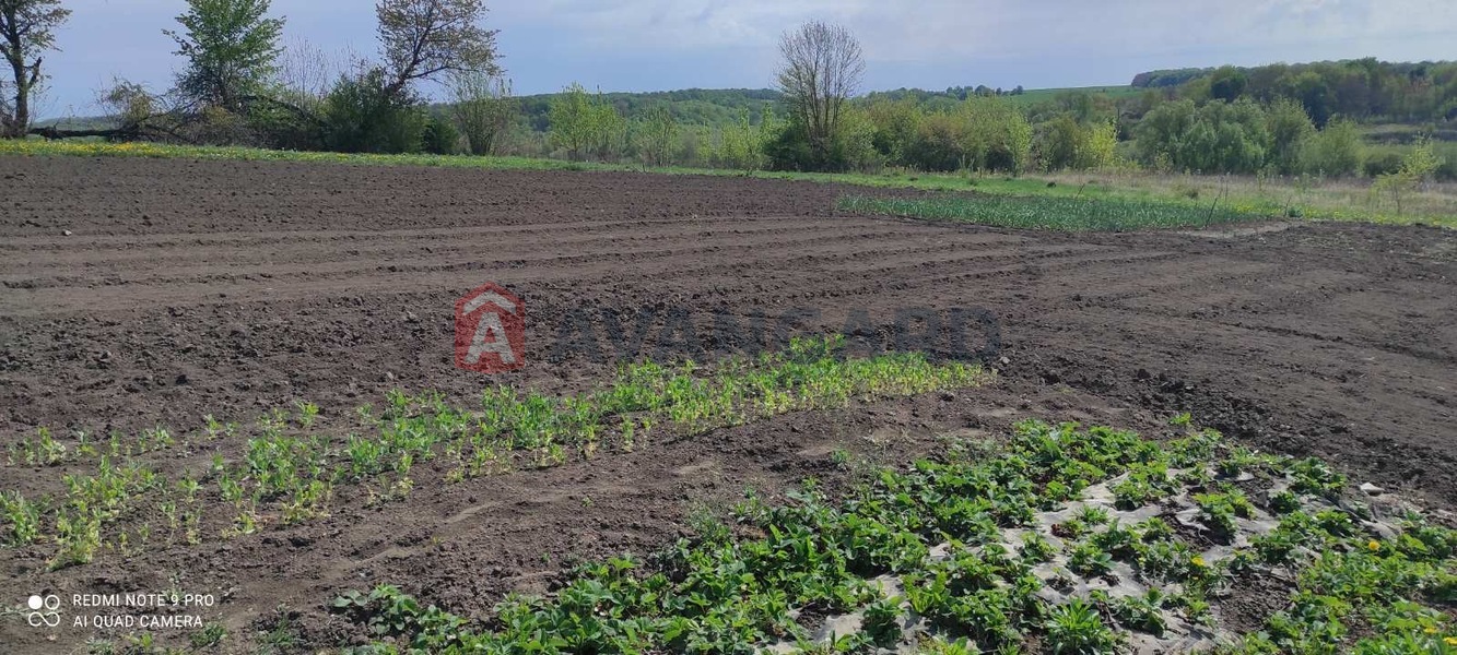 ���, 56 ��.�. ���� 11