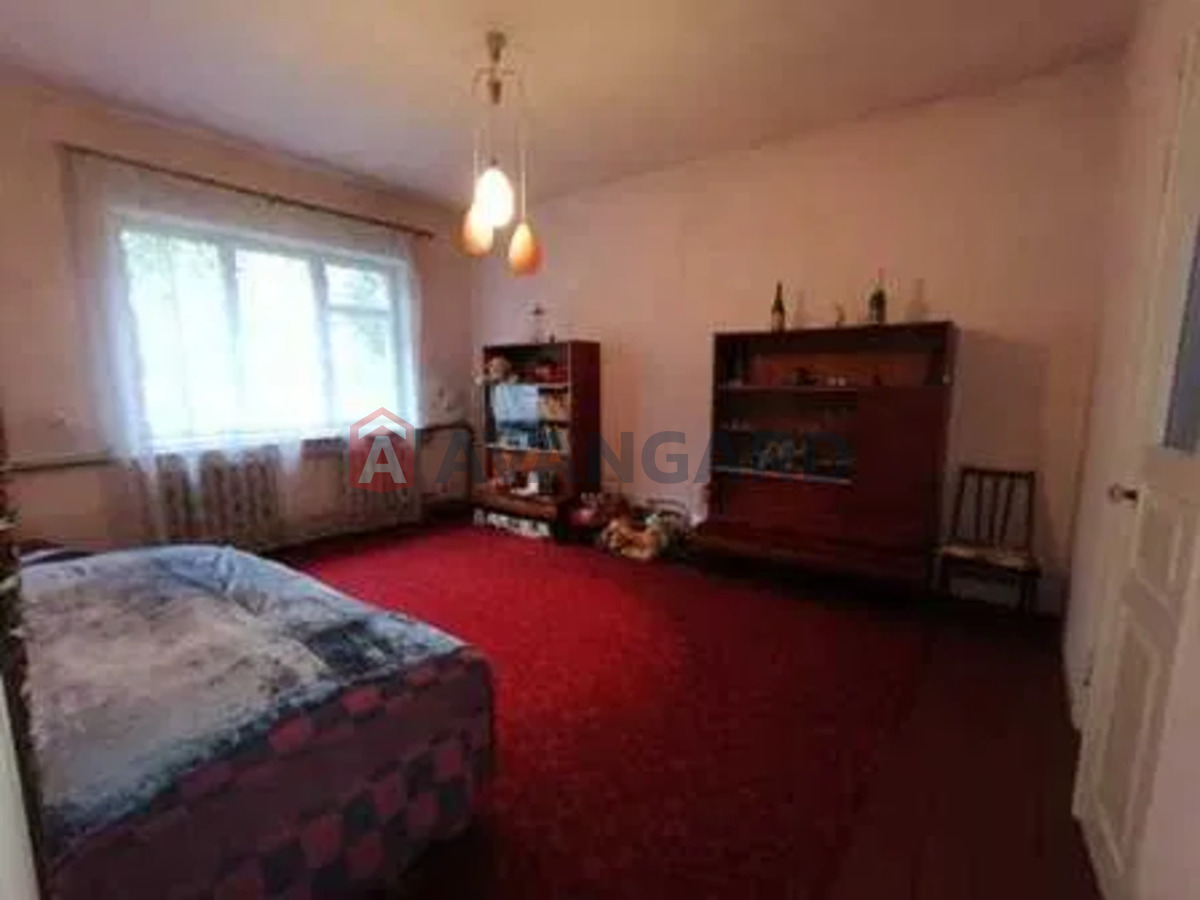 �������, 164 ��.�. ���� 16