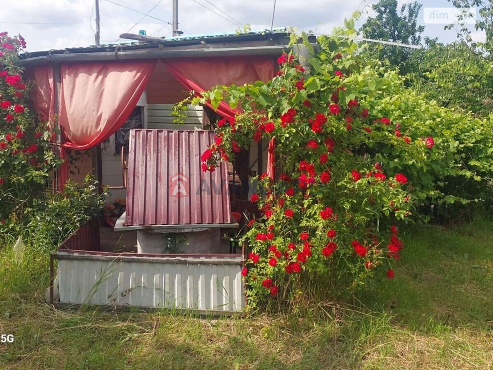 ����, 55 ��.�. ���� 10