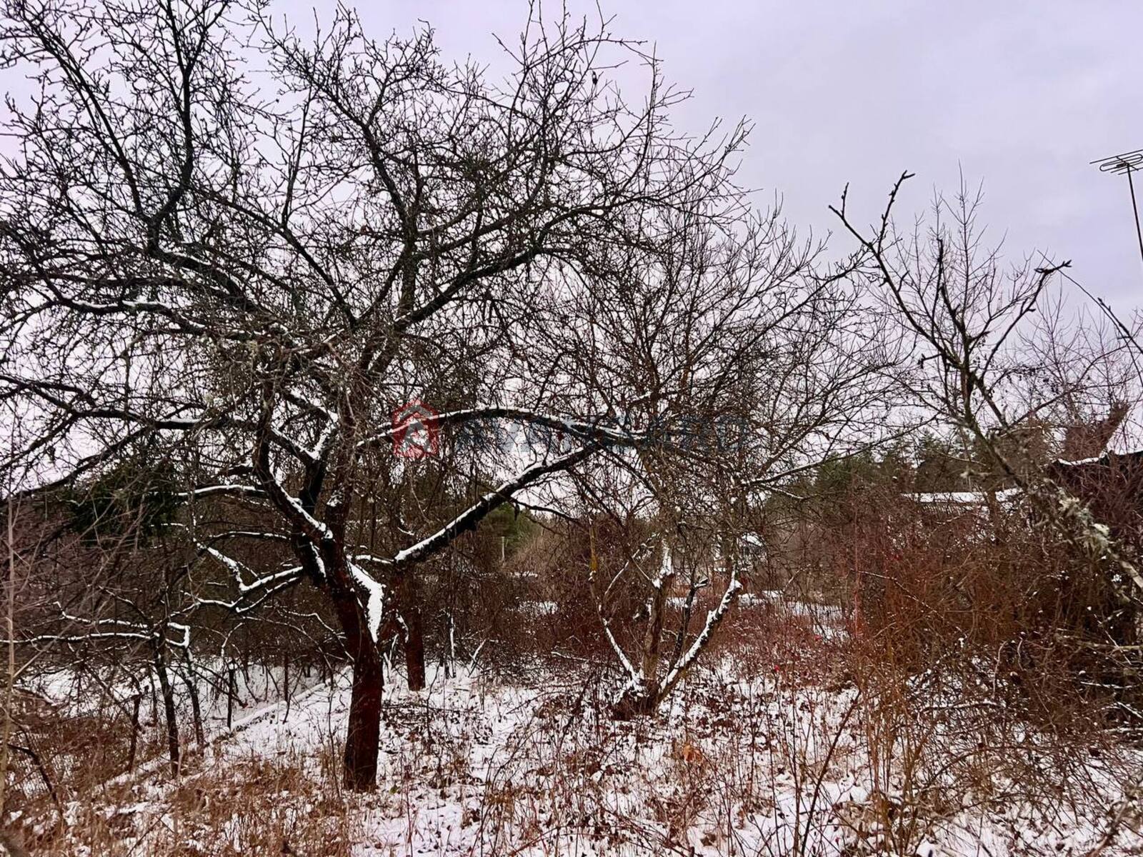 ����, 50 ��.�. ���� 11