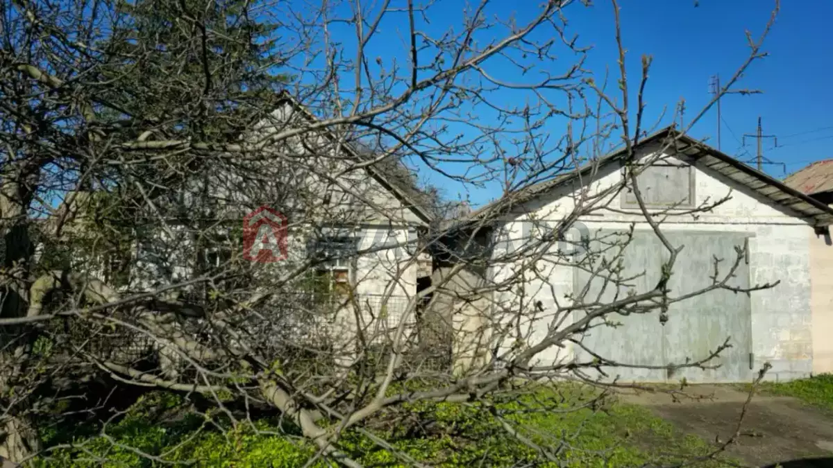 �������, 46 ��.�. ���� 1