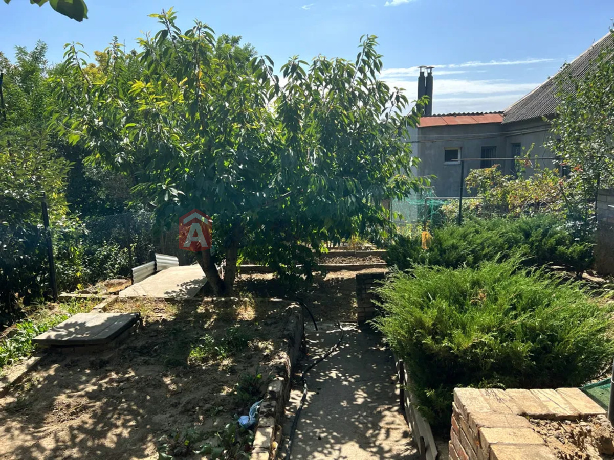 ������� �������, 61 ��.�. ���� 12