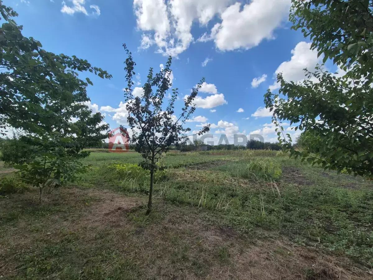 ���, 280 ��.�. ���� 6