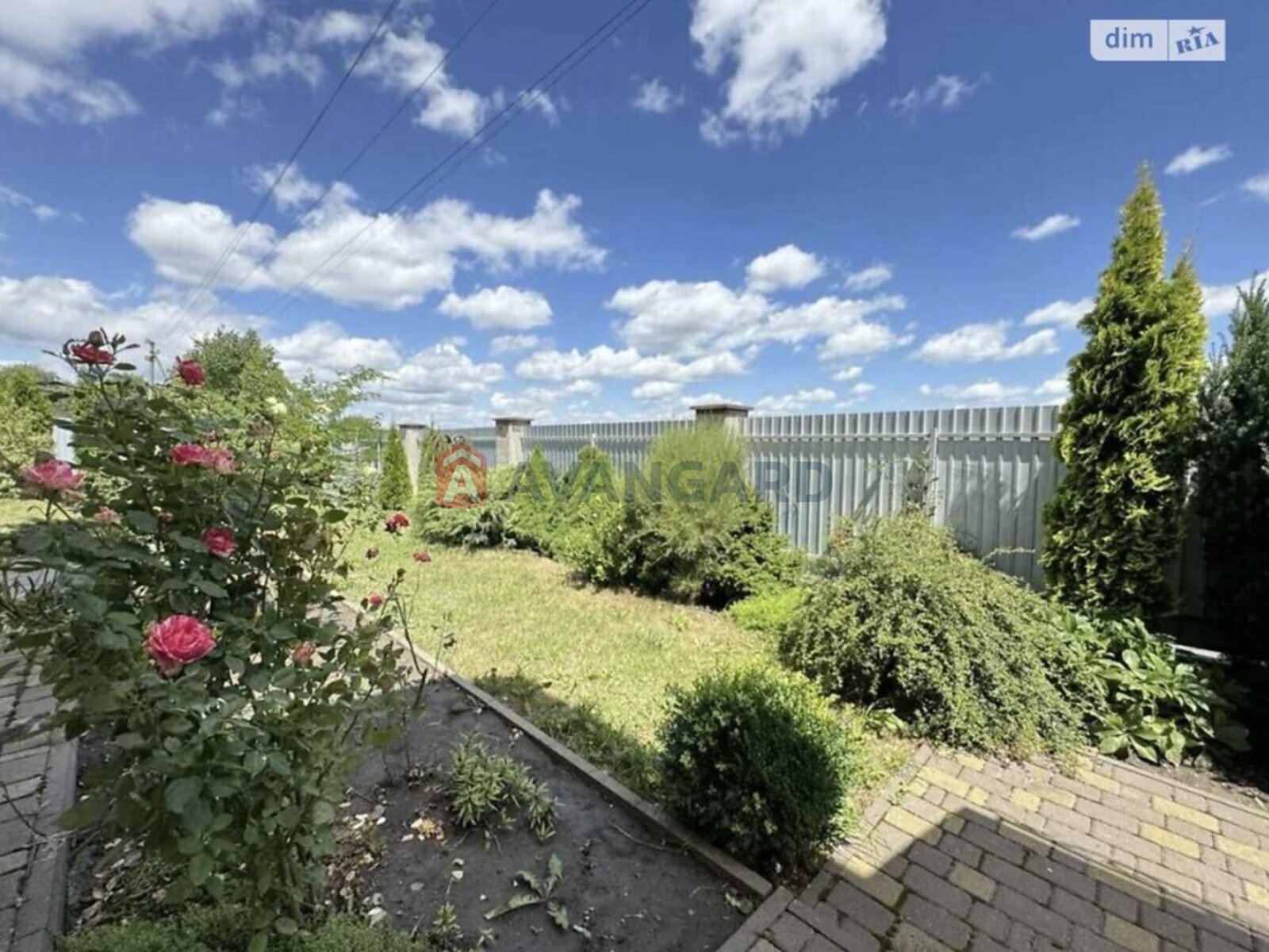 �������, 184 ��.�. ���� 5