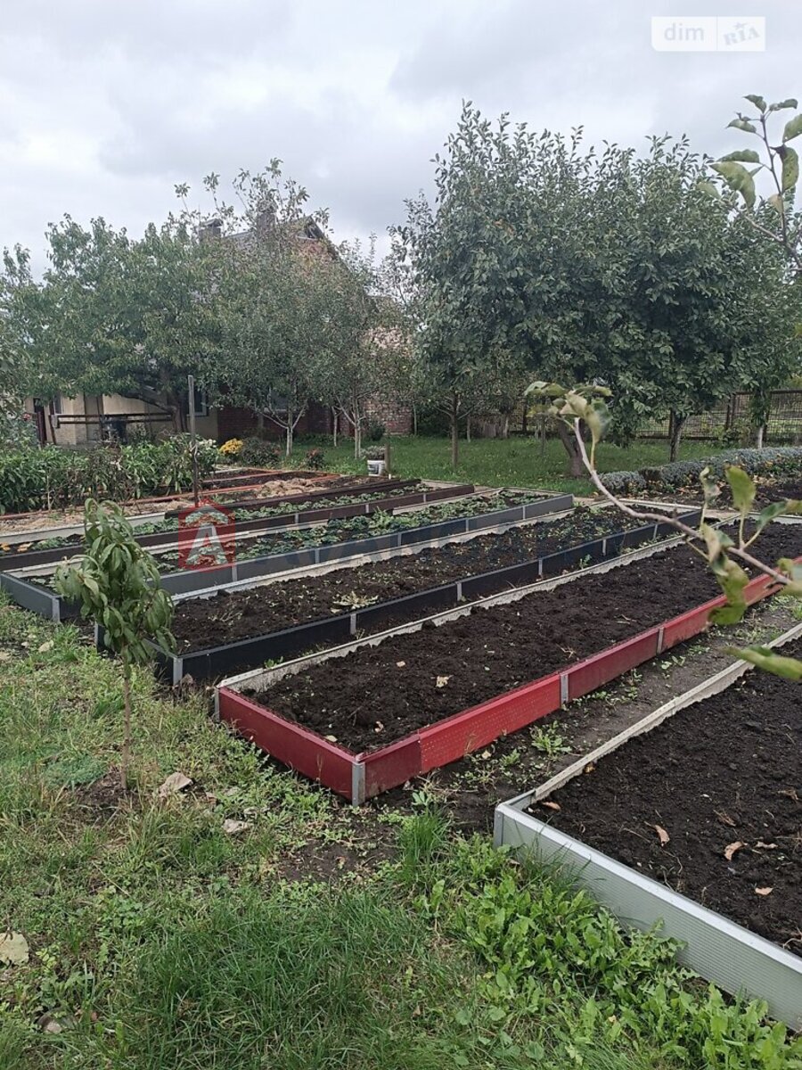 �������, 84 ��.�. ���� 22