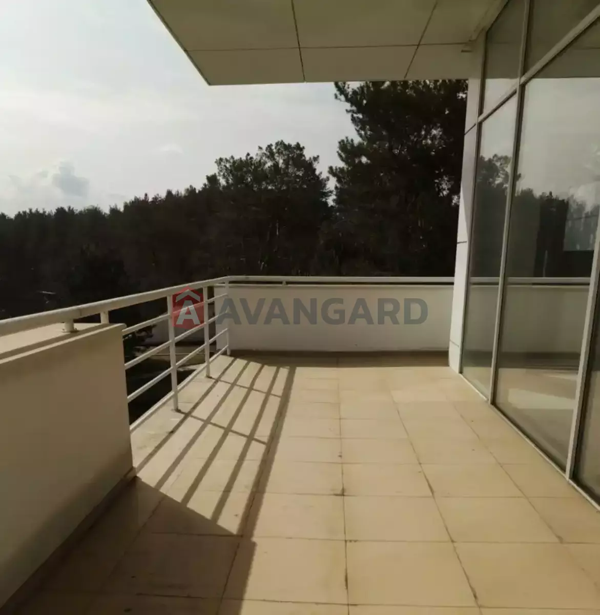 ���, 1500 ��.�. ���� 19