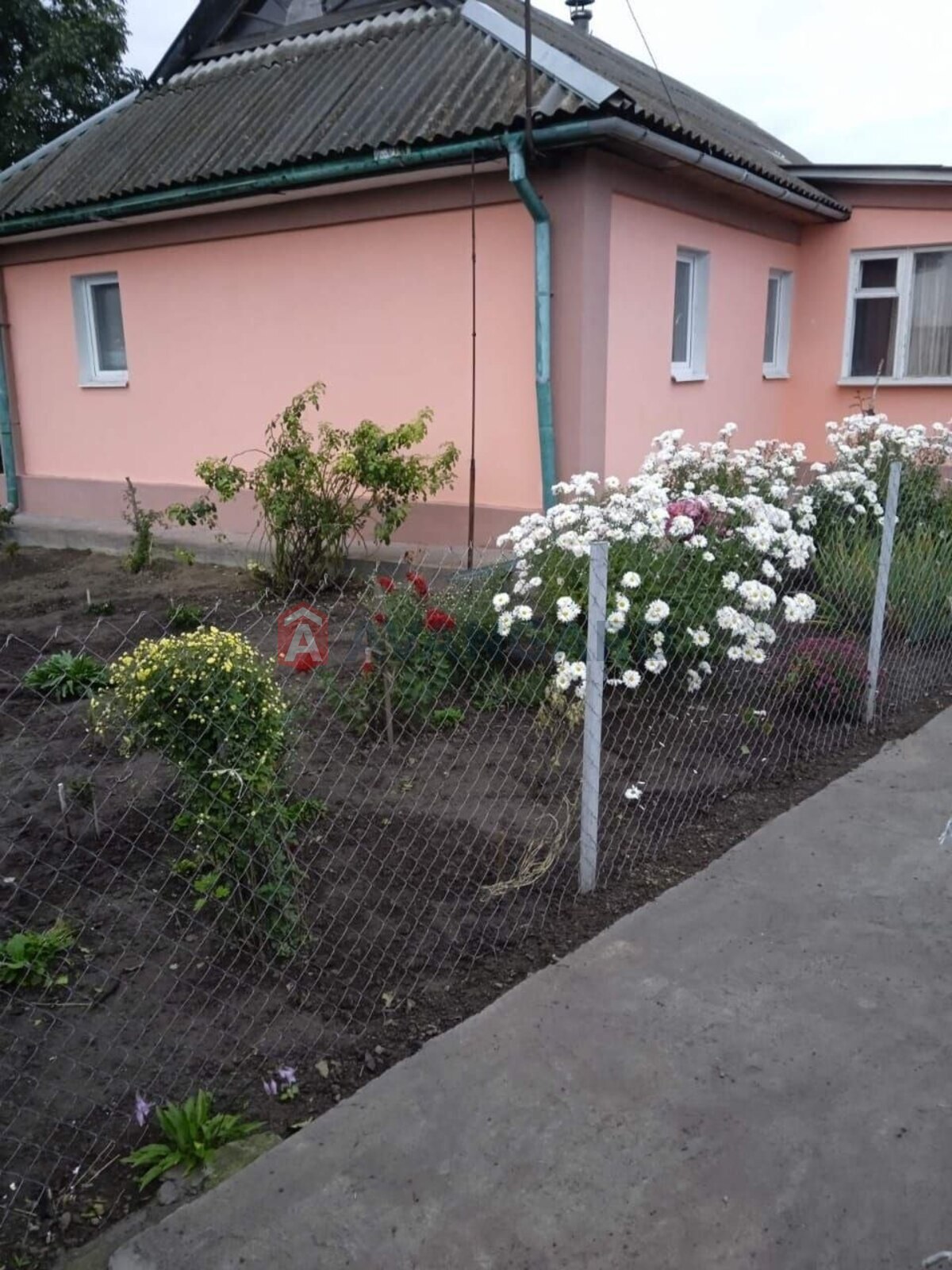 �������, 67 ��.�. ���� 1