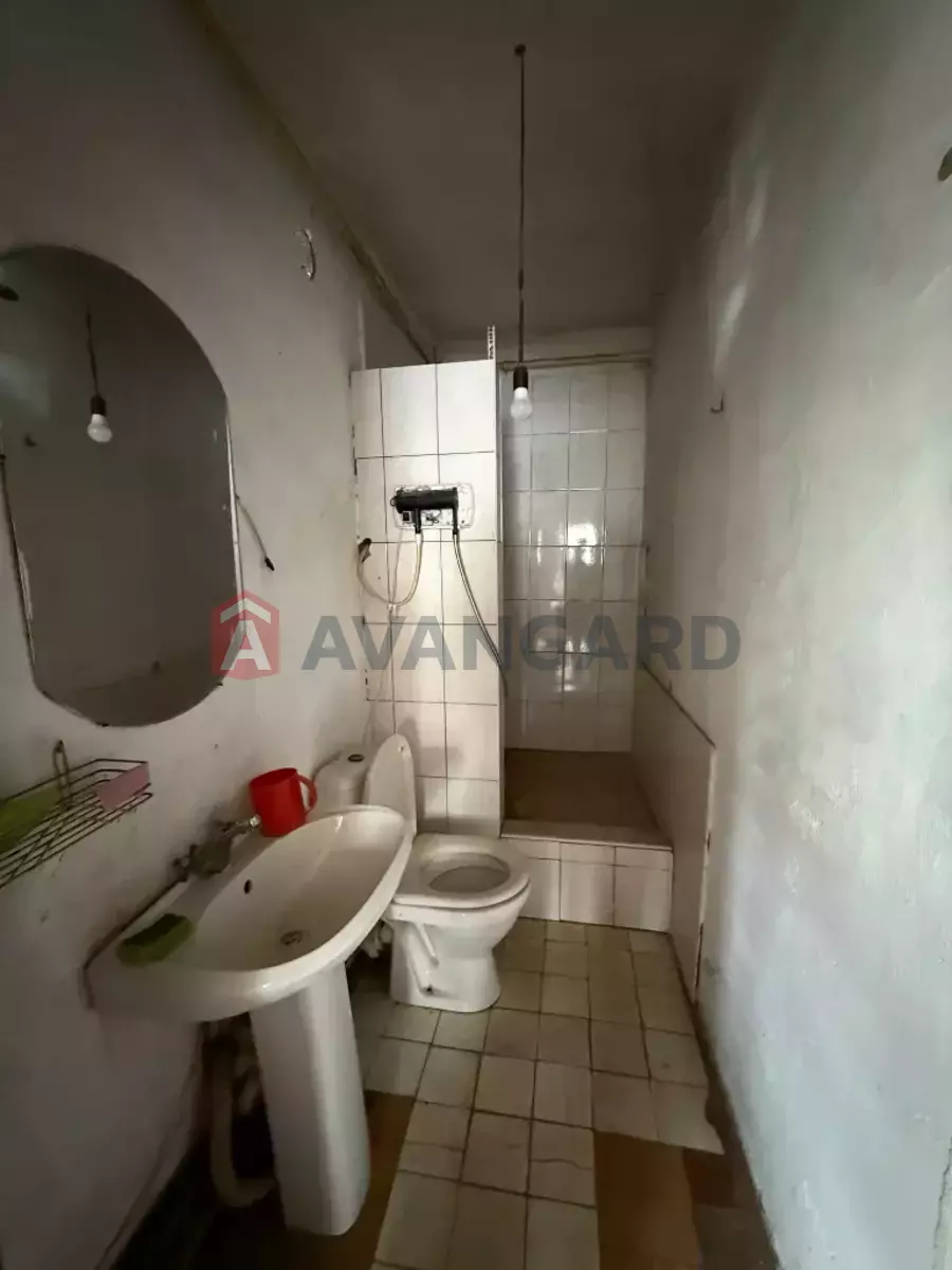 �������, 50 ��.�. ���� 19