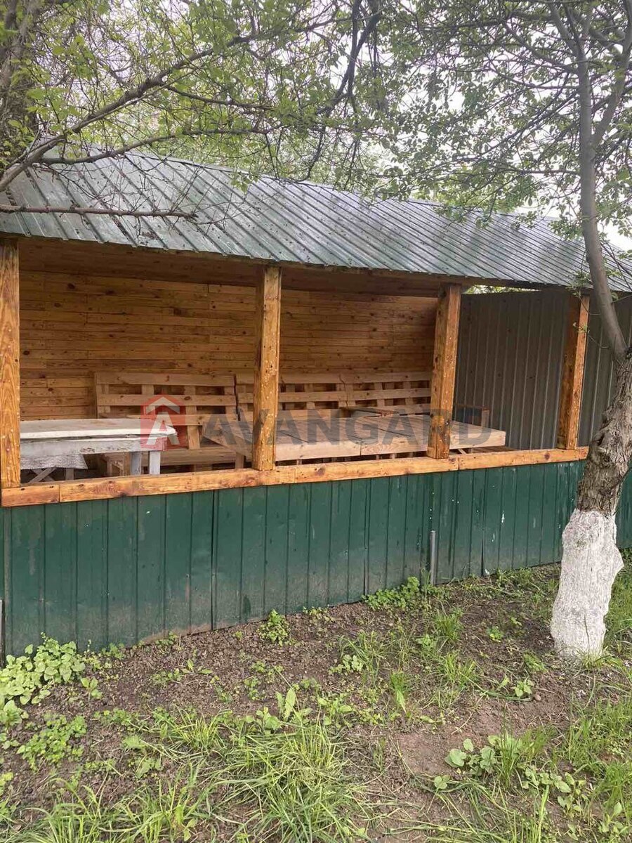 ���� ���� 6