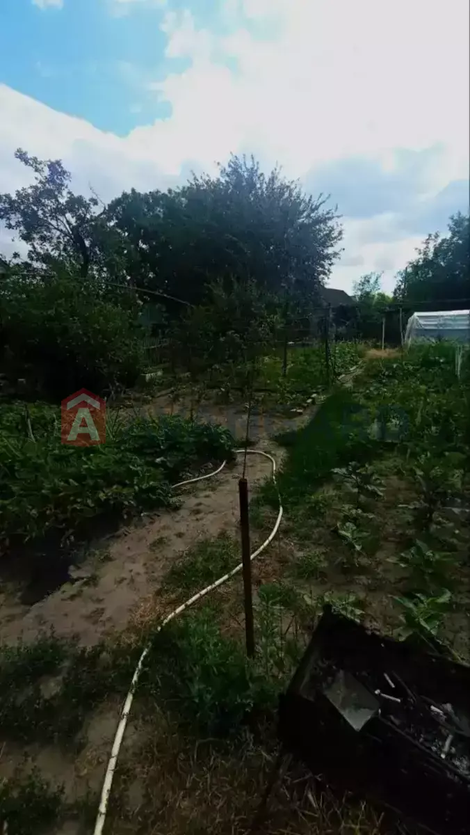 �������, 56 ��.�. ���� 5