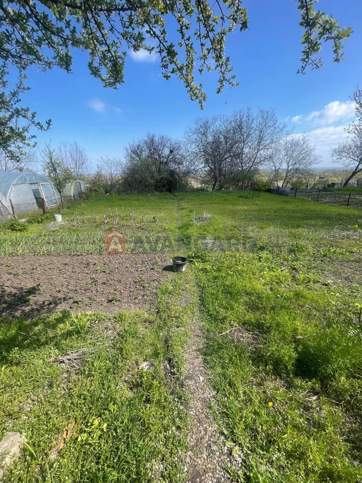 �������, 52 ��.�. ���� 15