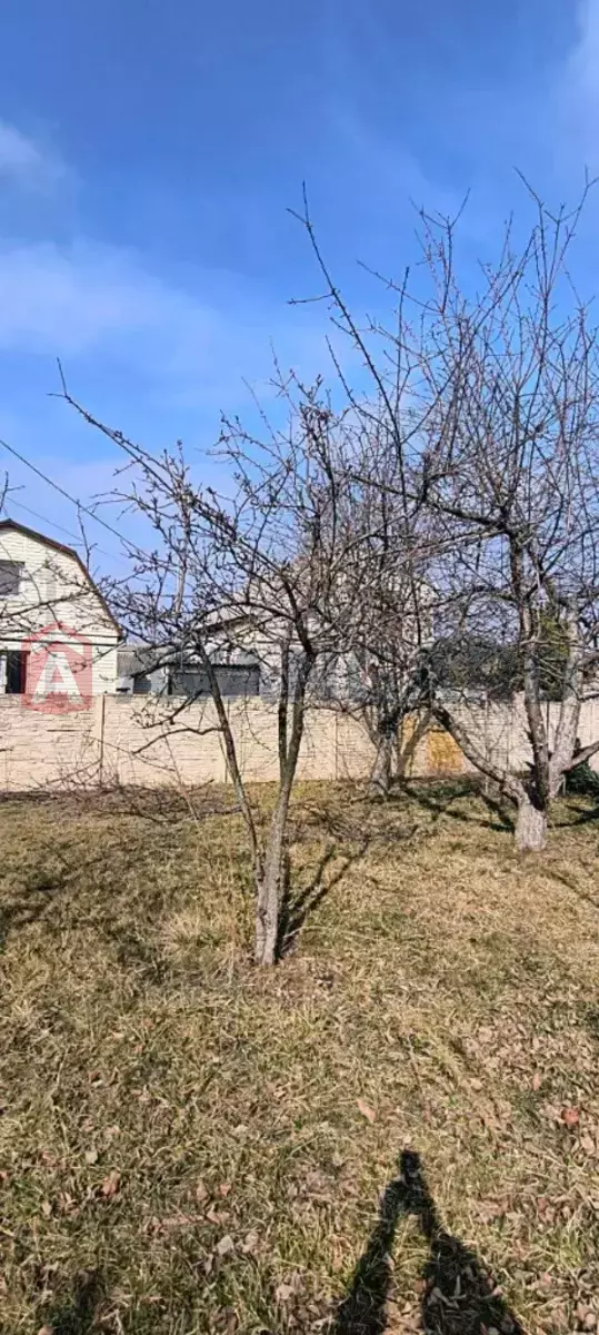 ����, 124 ��.�. ���� 12