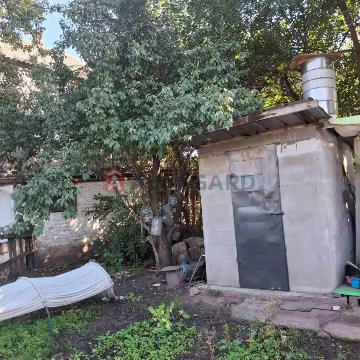 ������� �������, 37 ��.�. ���� 12