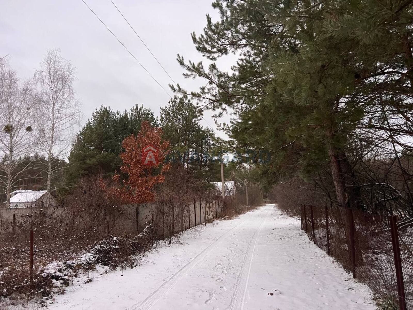 ����, 50 ��.�. ���� 13