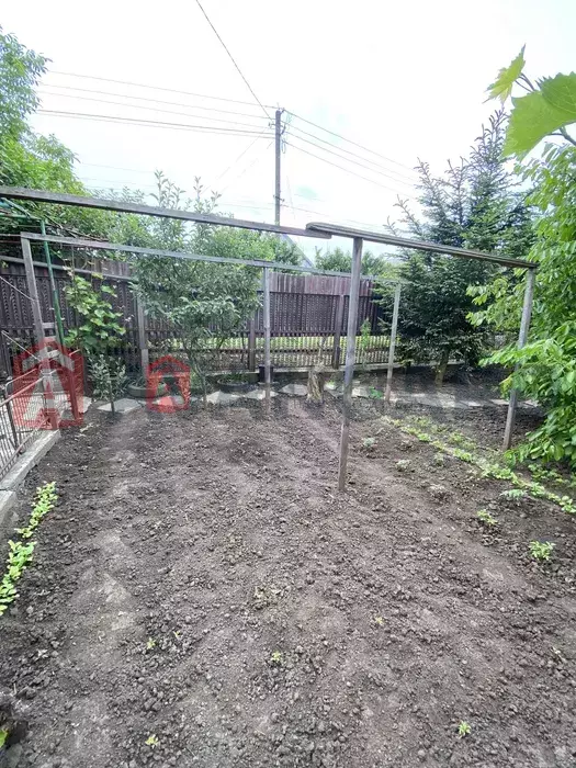 ���, 80 ��.�. ���� 16