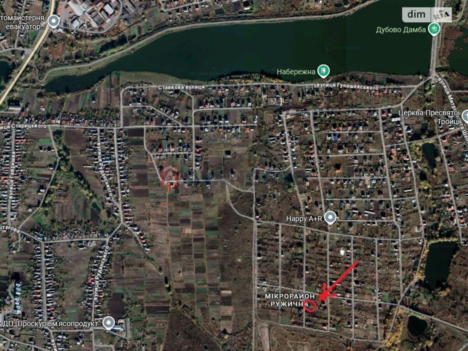 �������, 40 ��.�. ���� 14