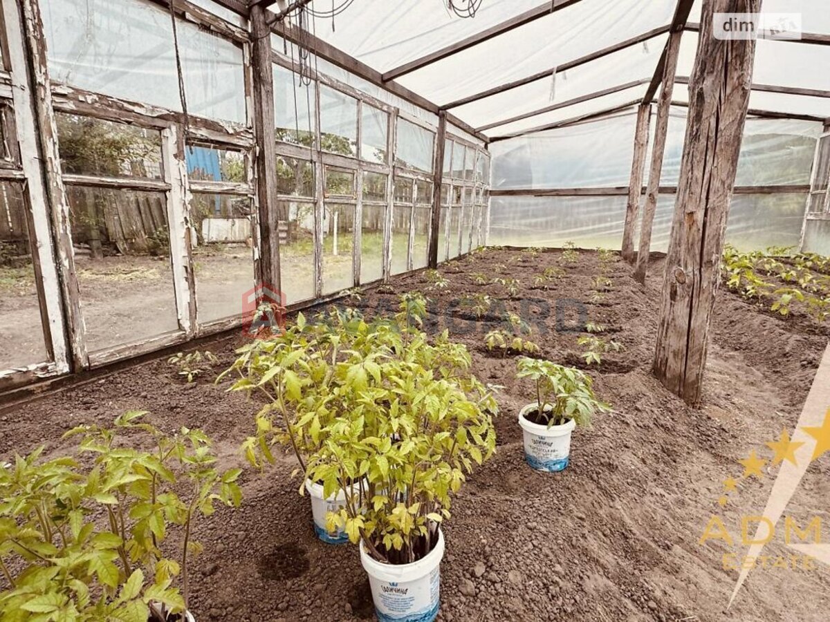 ����� ����, 104 ��.�. ���� 17