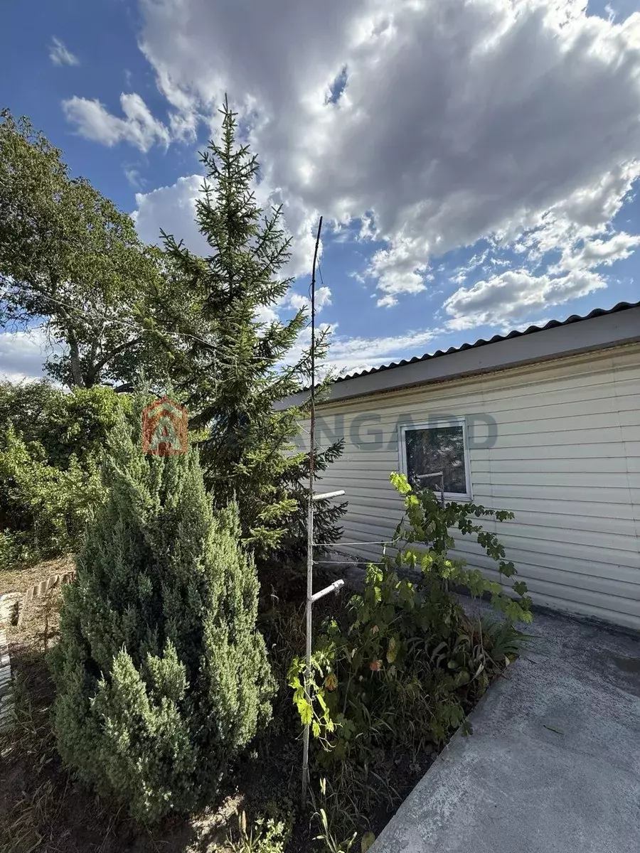 ����, 50 ��.�. ���� 4