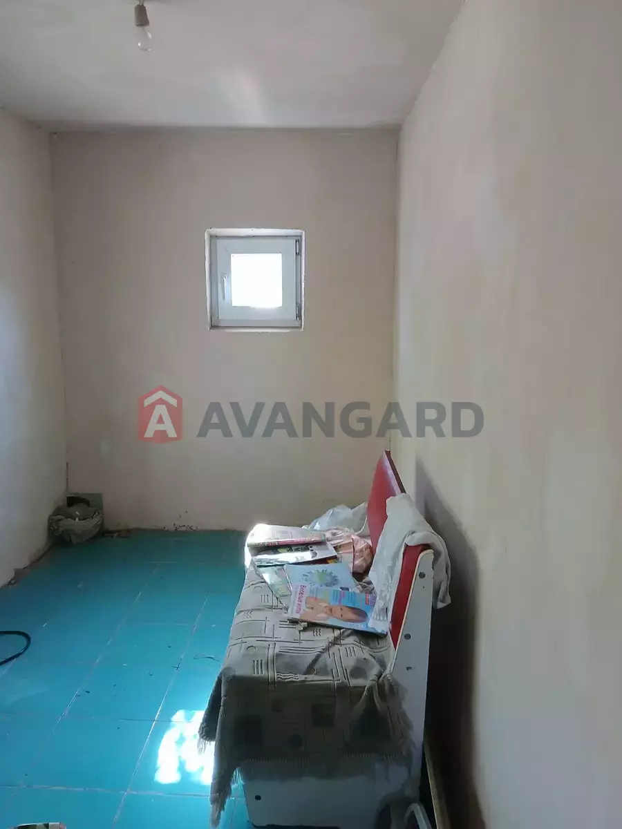 ����, 50 ��.�. ���� 5