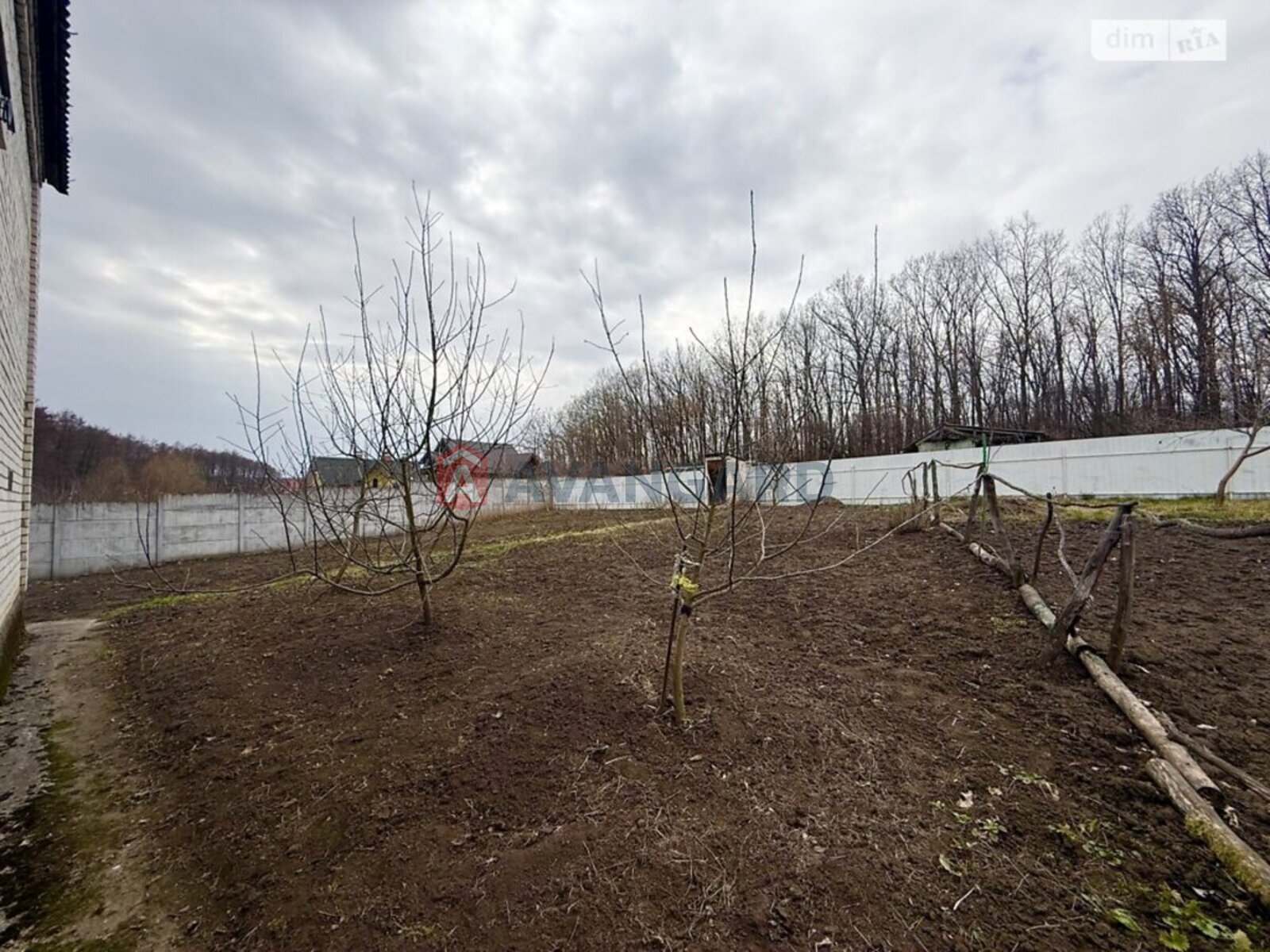 �������, 78 ��.�. ���� 13