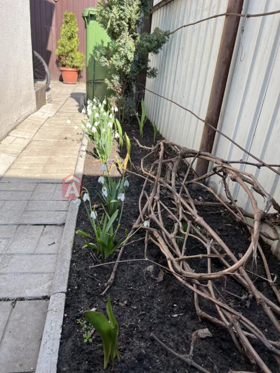 ����, 108 ��.�. ���� 11