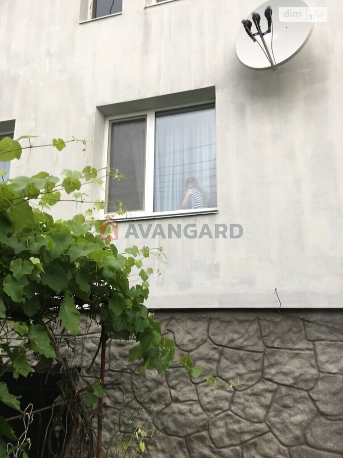 �������, 275 ��.�. ���� 15