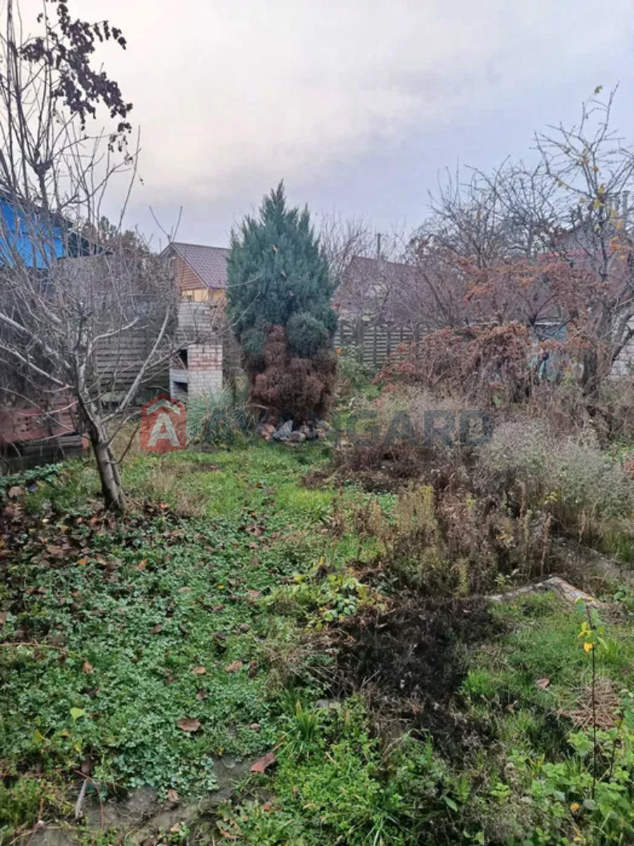 �������, 67 ��.�. ���� 8