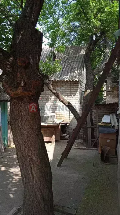 , 55 ..  18