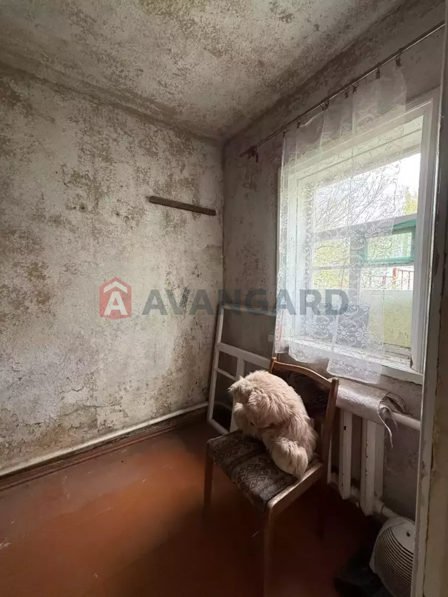 �������, 50 ��.�. ���� 28