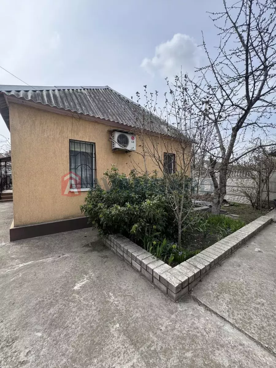 �������, 53 ��.�. ���� 18