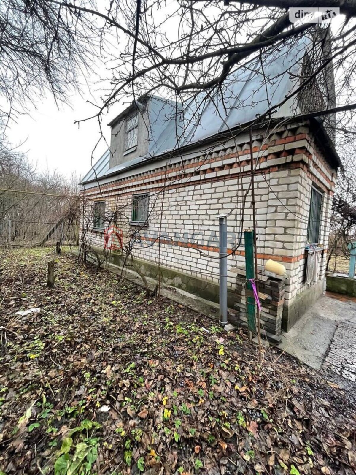 �������, 49 ��.�. ���� 2