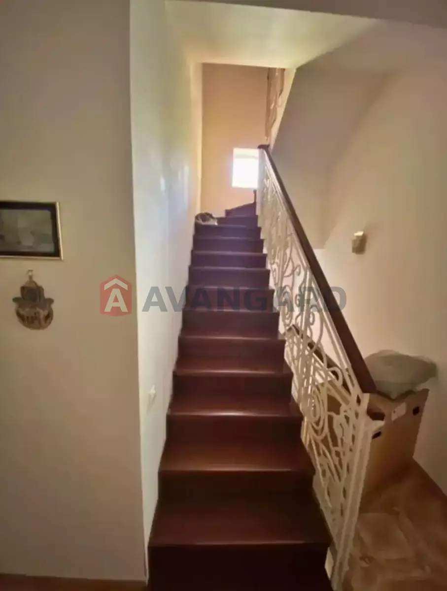 ������� �������, 520 ��.�. ���� 6