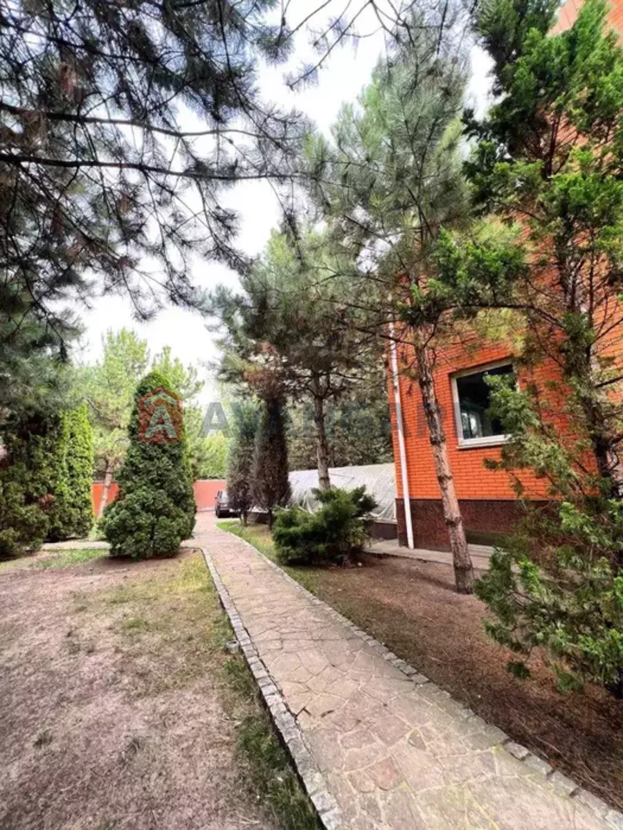 �������, 463 ��.�. ���� 4