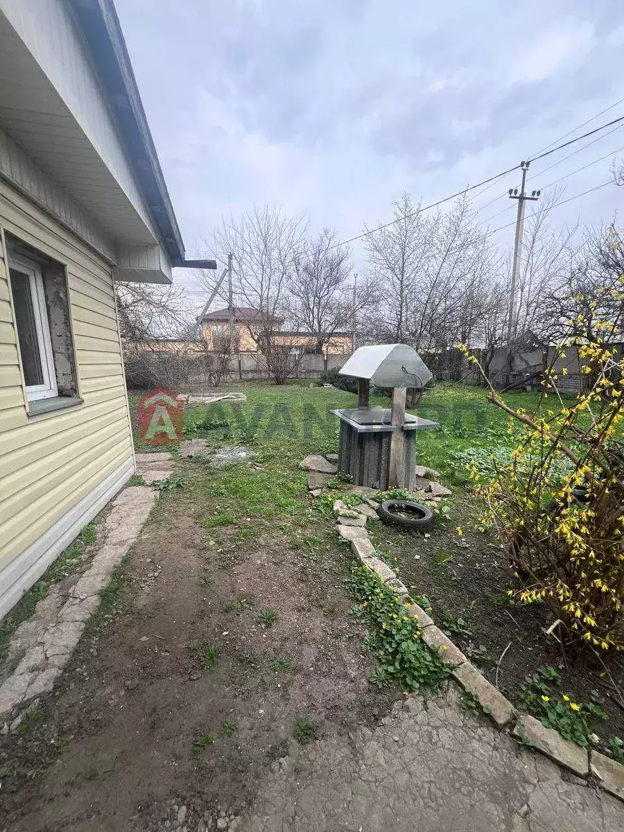 ���, 80 ��.�. ���� 12