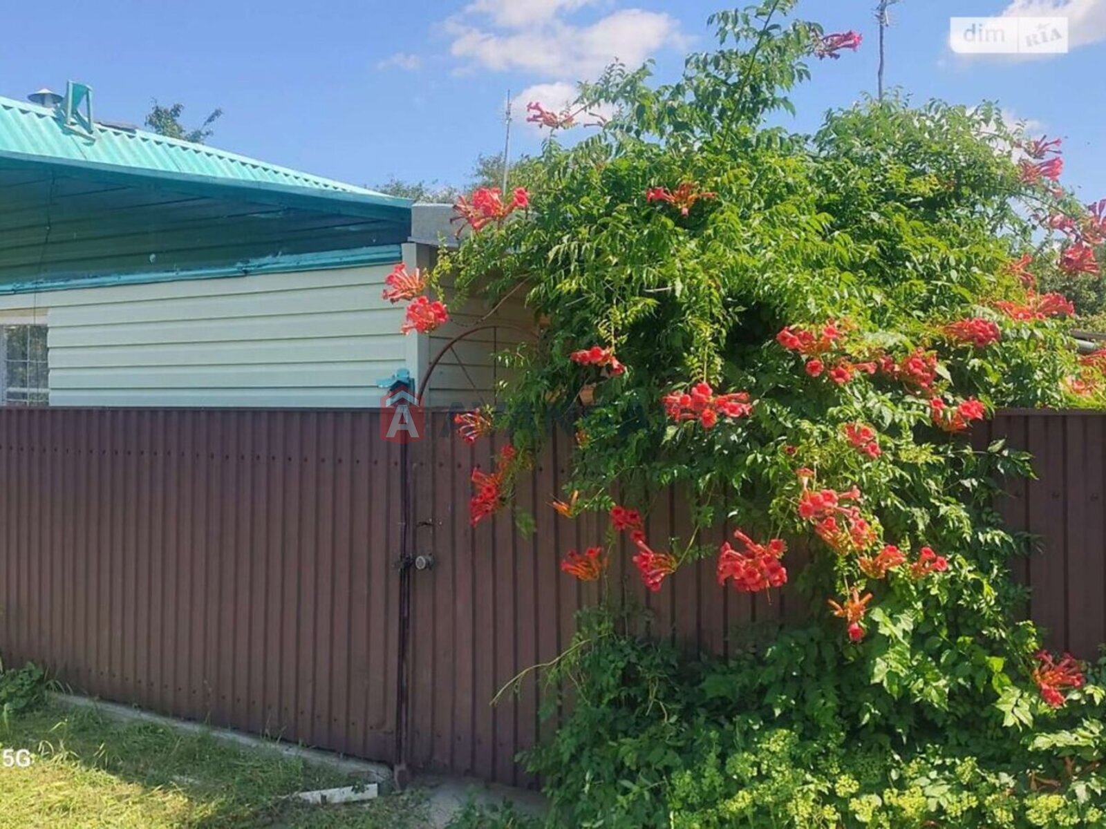 ����, 55 ��.�. ���� 2