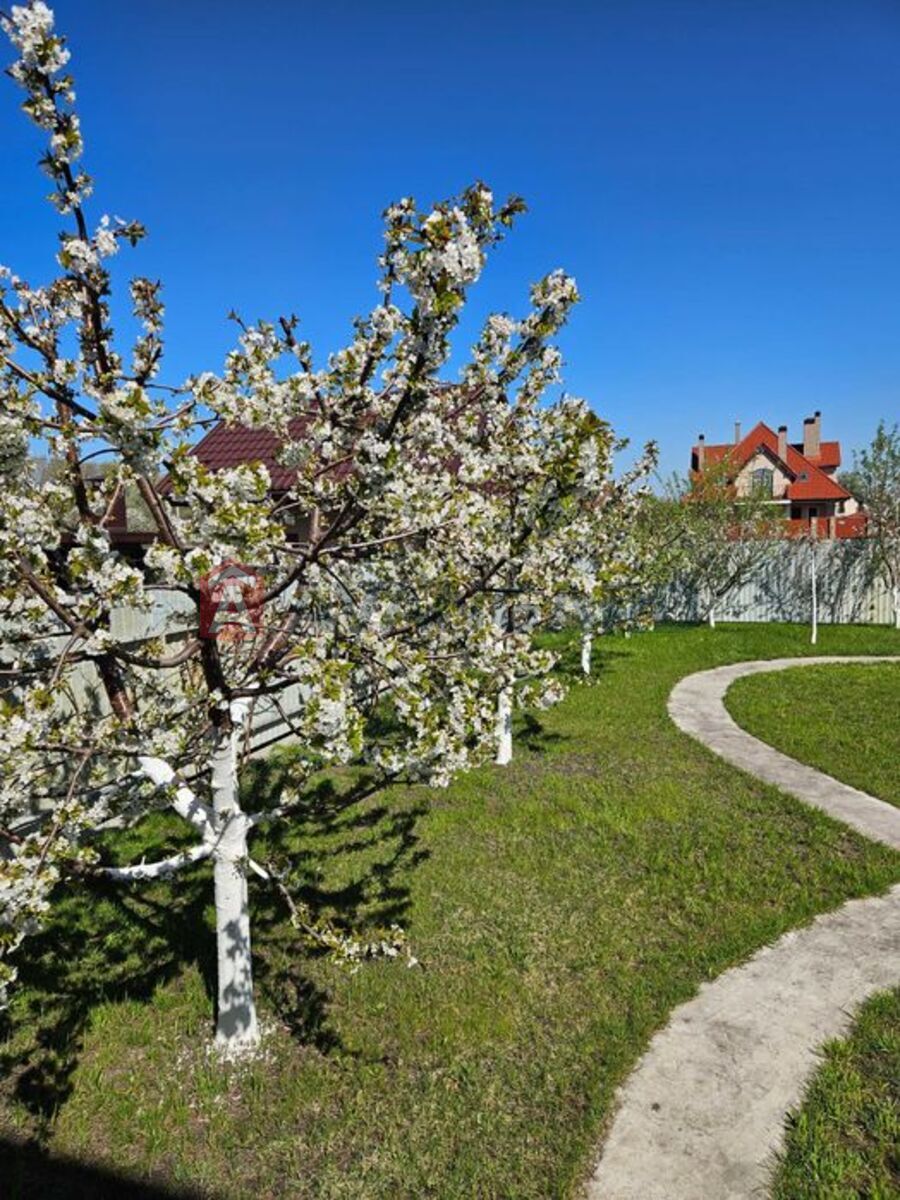 ���, 190 ��.�. ���� 24