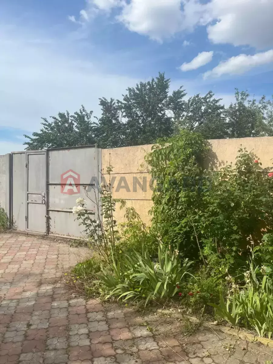 ����, 124 ��.�. ���� 11