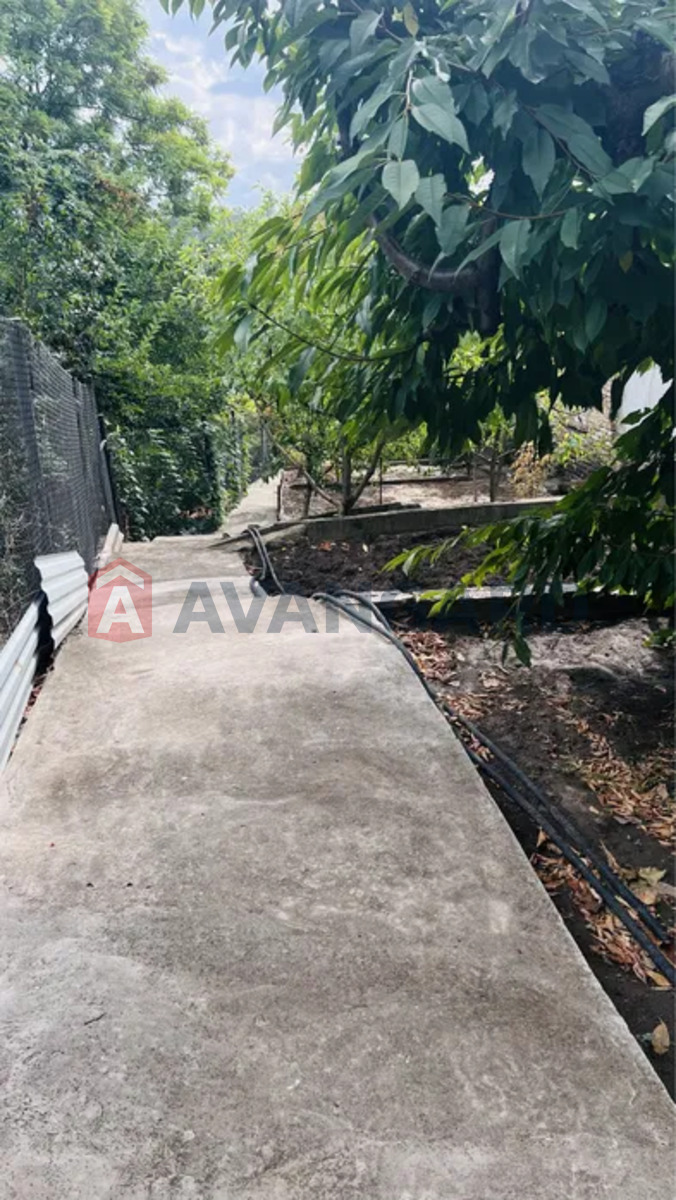 ������� �������, 61 ��.�. ���� 11