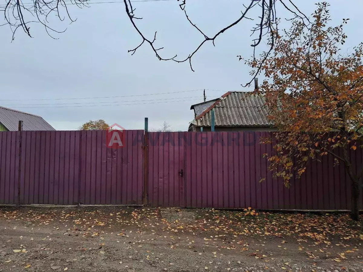 ���, 55 ��.�. ���� 1