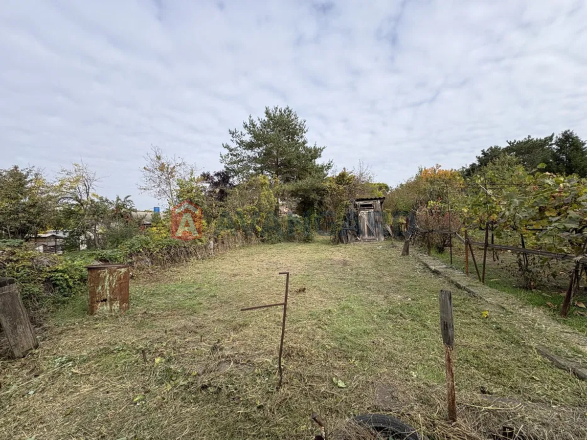 ���, 55 ��.�. ���� 5