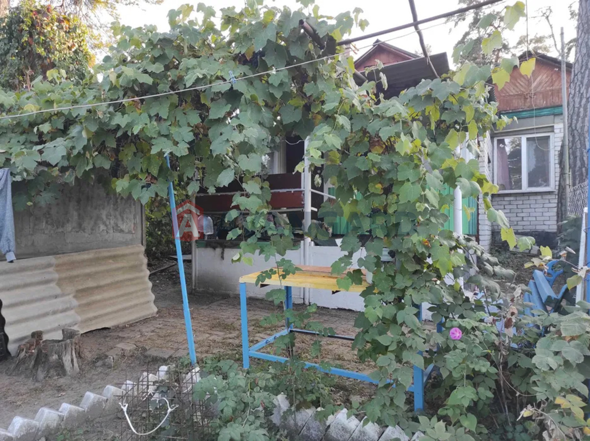 ������� �������, 50 ��.�. ���� 11