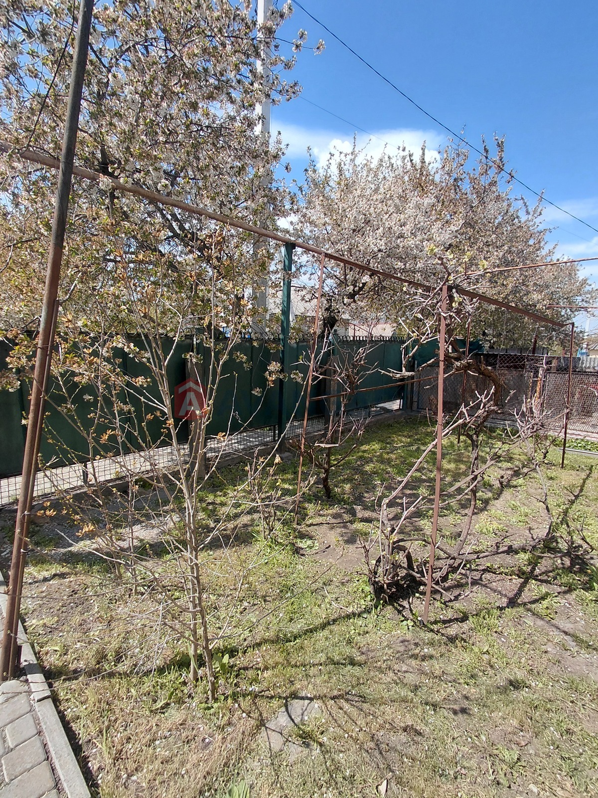 ���, 125 ��.�. ���� 2