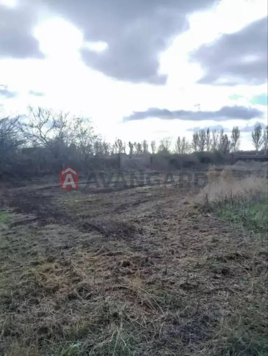 ����� ����, 50 ��.�. ���� 16