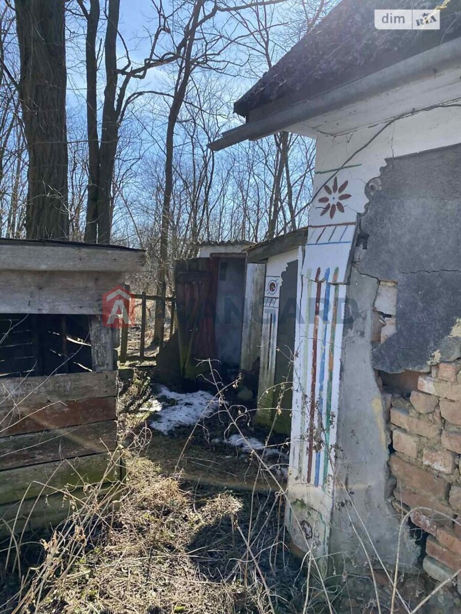 �������, 80 ��.�. ���� 8