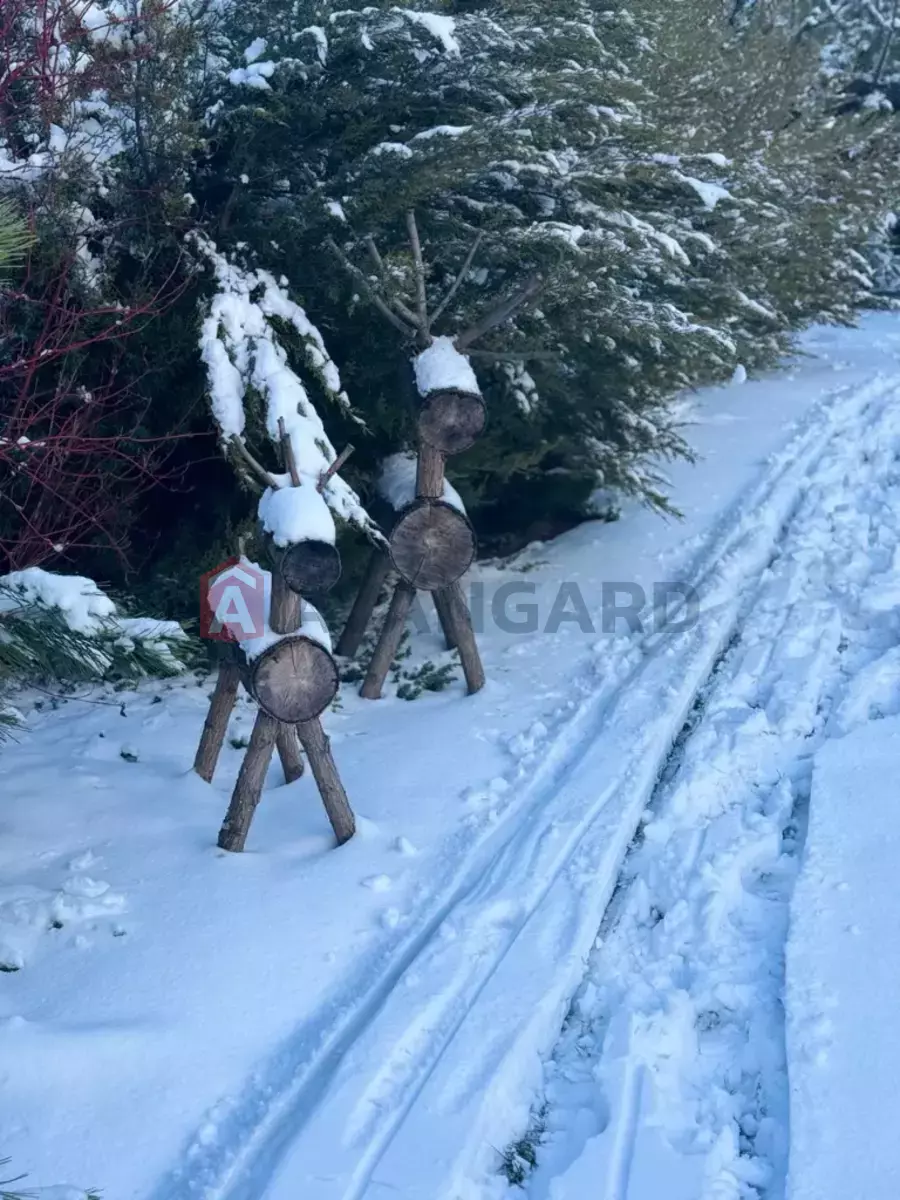 �������, 174 ��.�. ���� 4